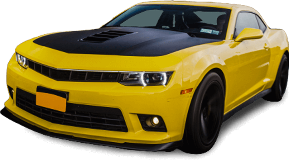 Banner Banner